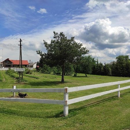 Agroturystyka Kobylnica Nad Wisla Kültér fotó