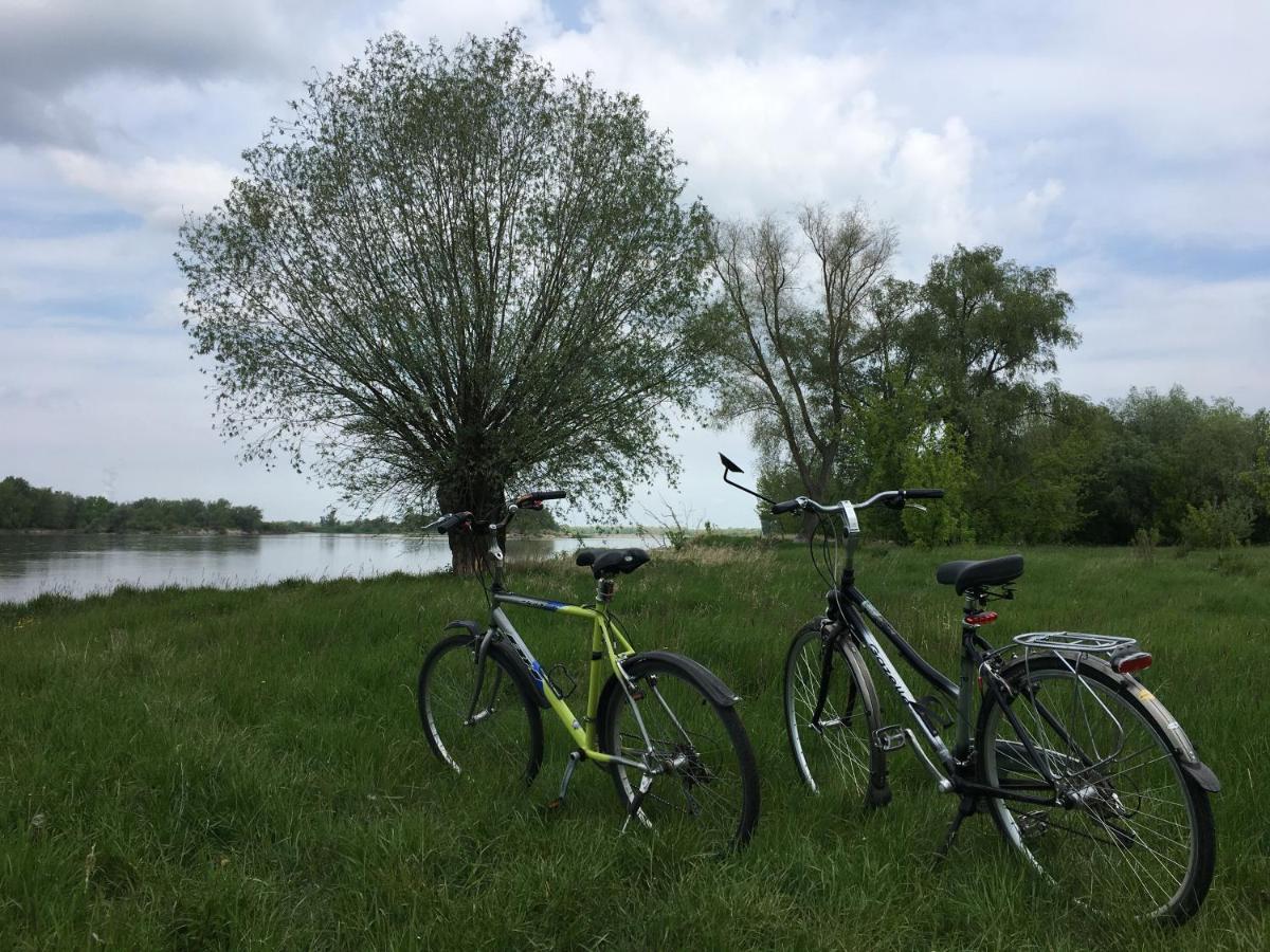 Agroturystyka Kobylnica Nad Wisla Kültér fotó