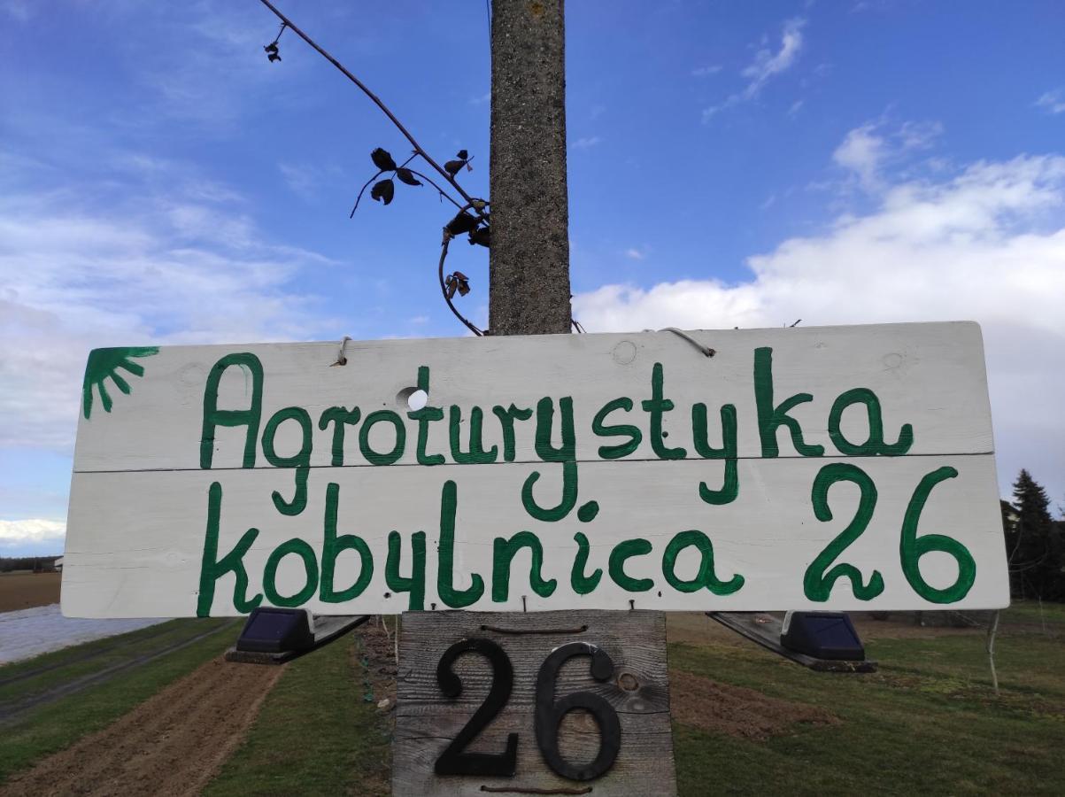 Agroturystyka Kobylnica Nad Wisla Kültér fotó