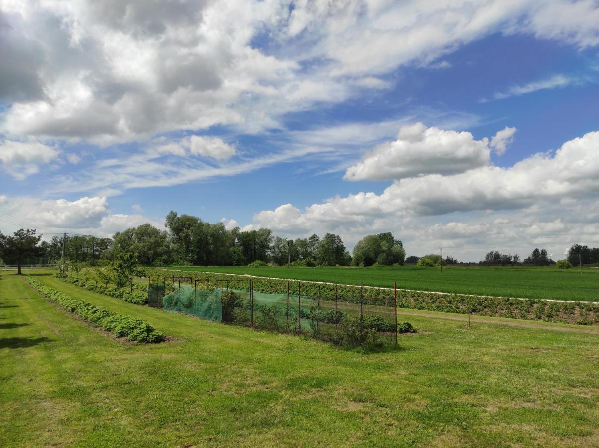 Agroturystyka Kobylnica Nad Wisla Kültér fotó