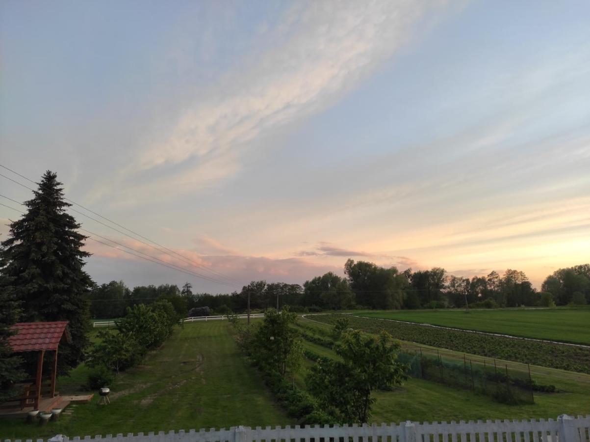 Agroturystyka Kobylnica Nad Wisla Kültér fotó